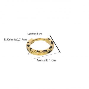 Helix Tragus Hoop Earring 14K gold