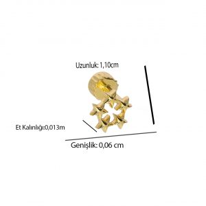 14K Gold Star Tragus Piercing