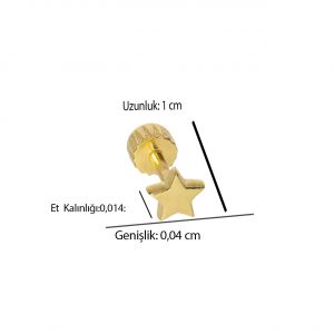 14K Gold Star Tragus Piercing
