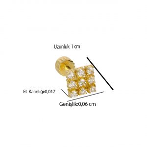 Kare Tragus Piercing 14 Ayar