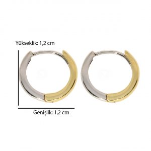 Hoop Earrings 14K gold