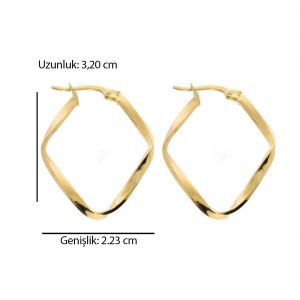 Gold Hoop Earrings 14K
